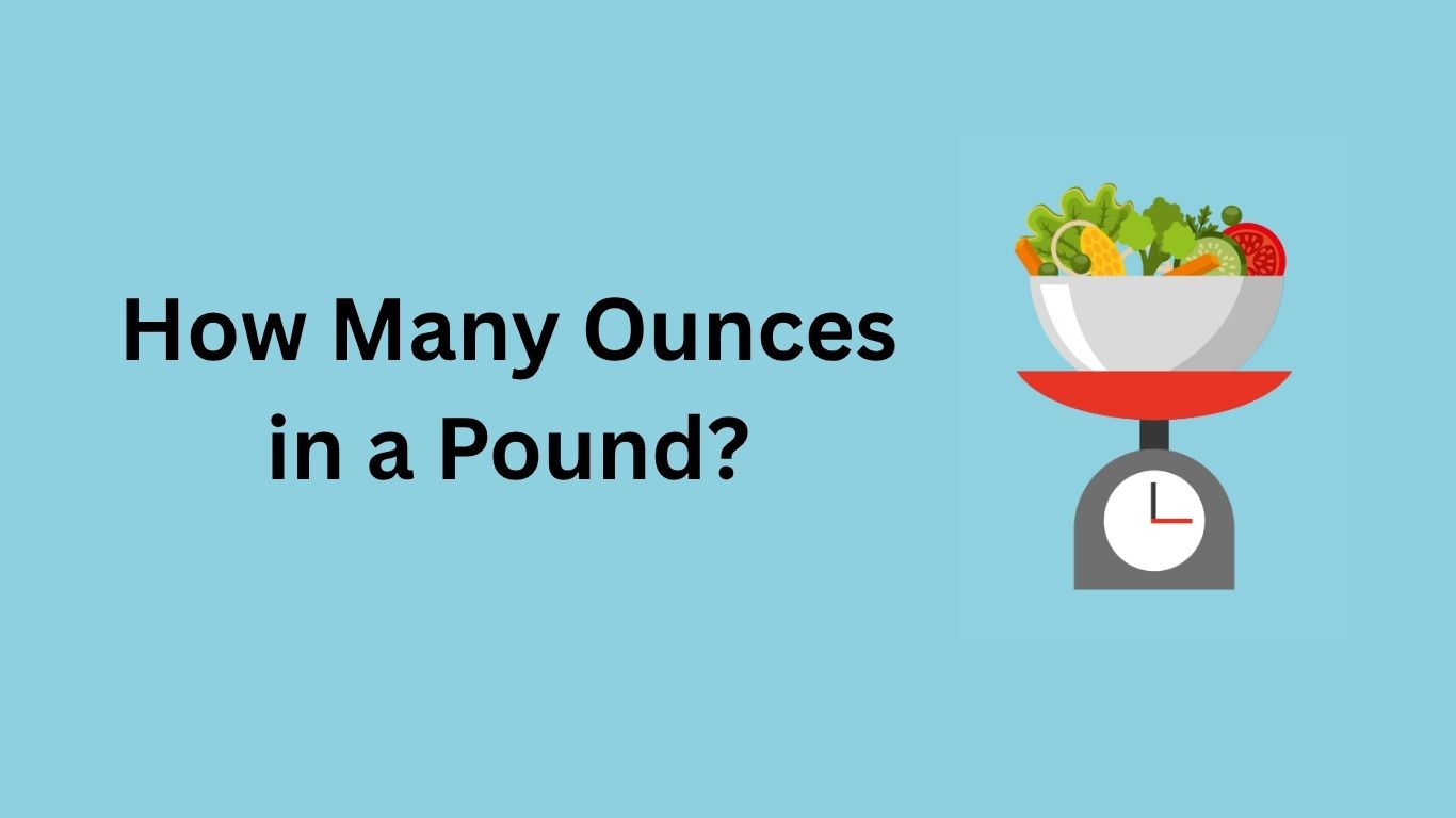 How Many Ounces in a Pound
