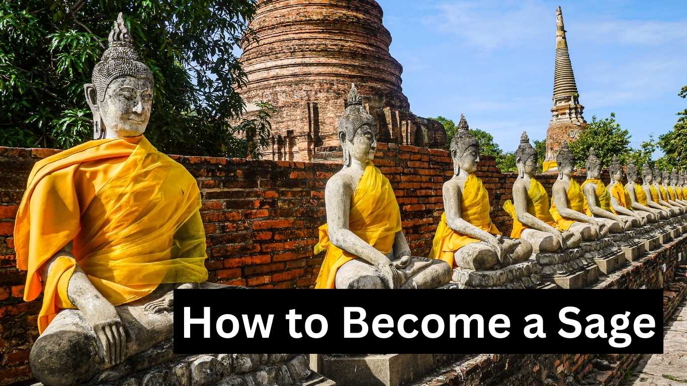 How to Become a Sage
