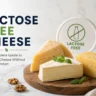 Lactose Free Cheese